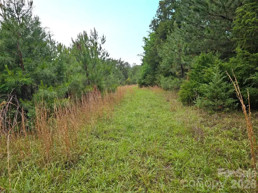 0000 Shirley Road, Fort Lawn, SC 29714 - #3