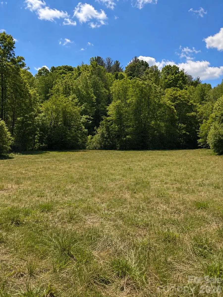 8186 Old State Highway, Moravian Falls, NC 28697 - #3