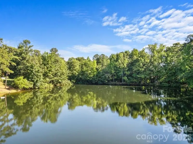 132 Rose Tree Lane, Fort Mill, SC 29715 - #3