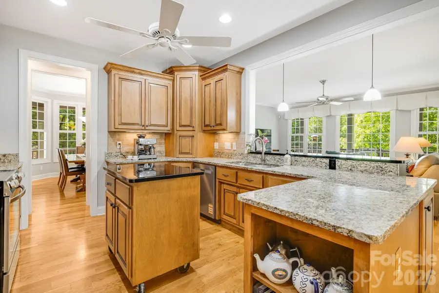 335 Daylily Drive, Hendersonville, NC 28739 - #2