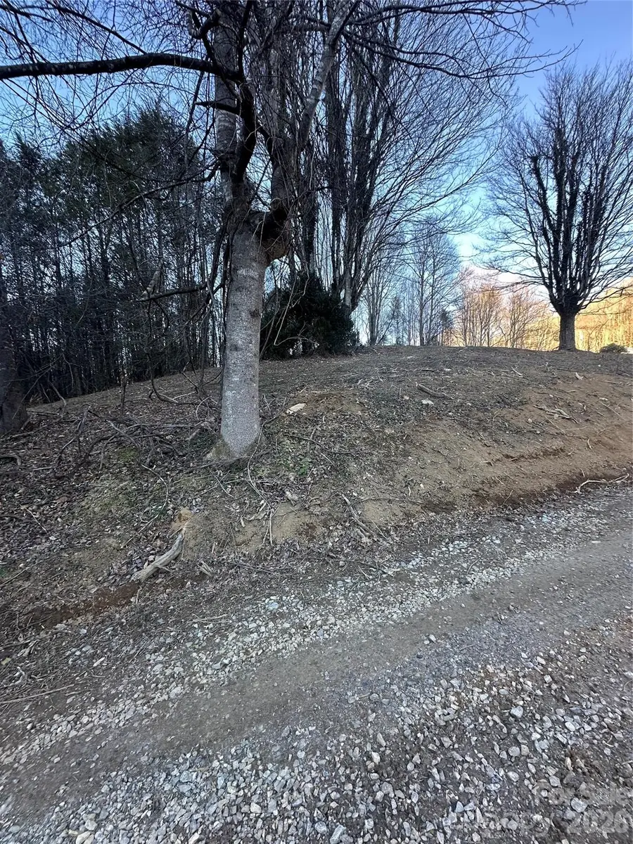 45 Windy Hollow Lane, Newland, NC 28657 - #3