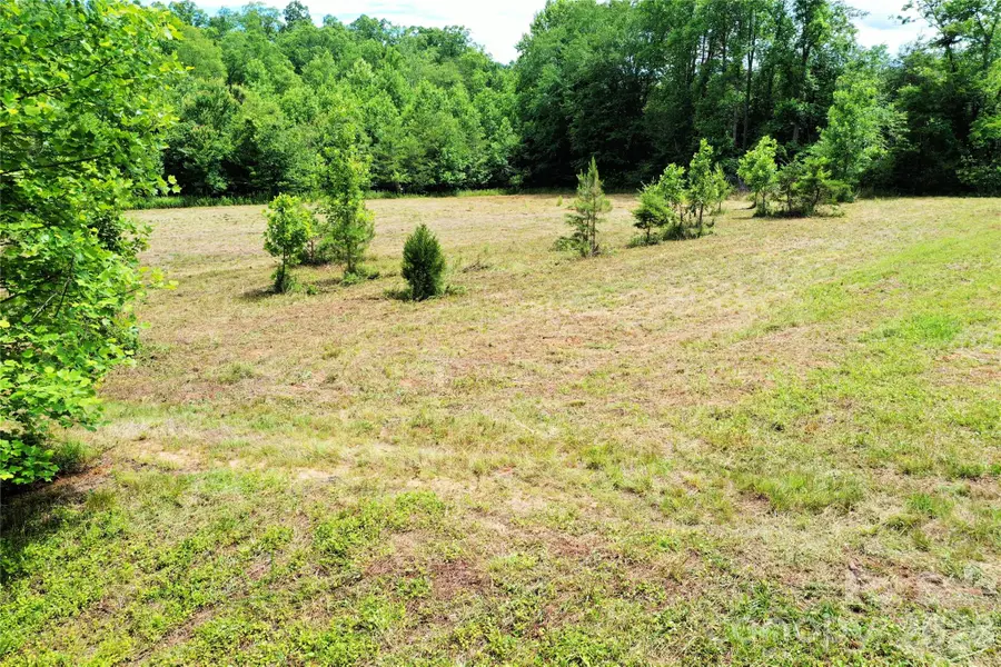 00 Club House Road, Lake Lure, NC 28746 - #3
