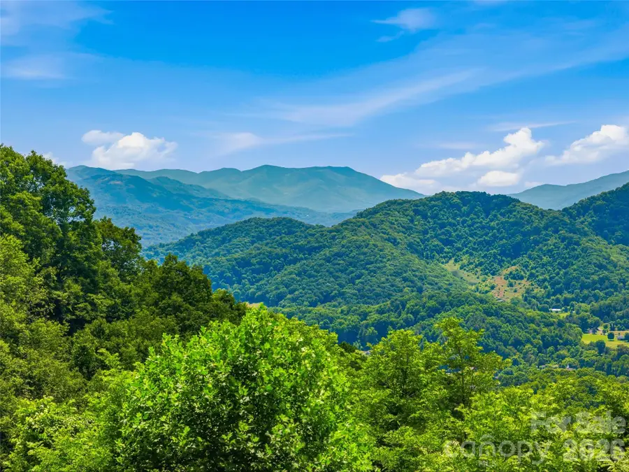 1877 Wilson Cove Road, Canton, NC 28716 - #2
