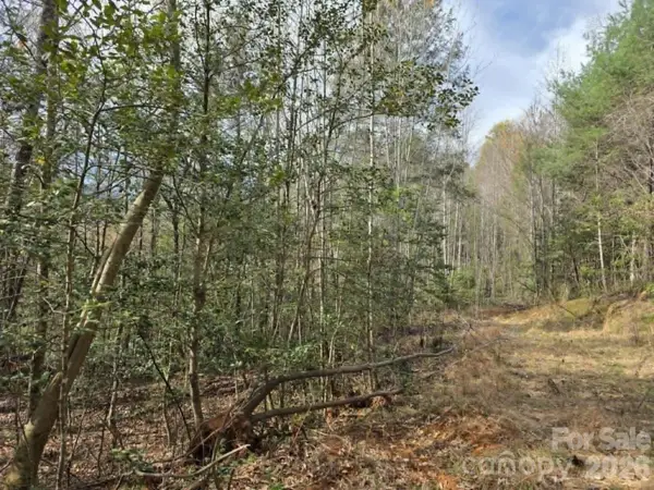 Lot 5 Kerlee Lane, Old Fort, NC 28762