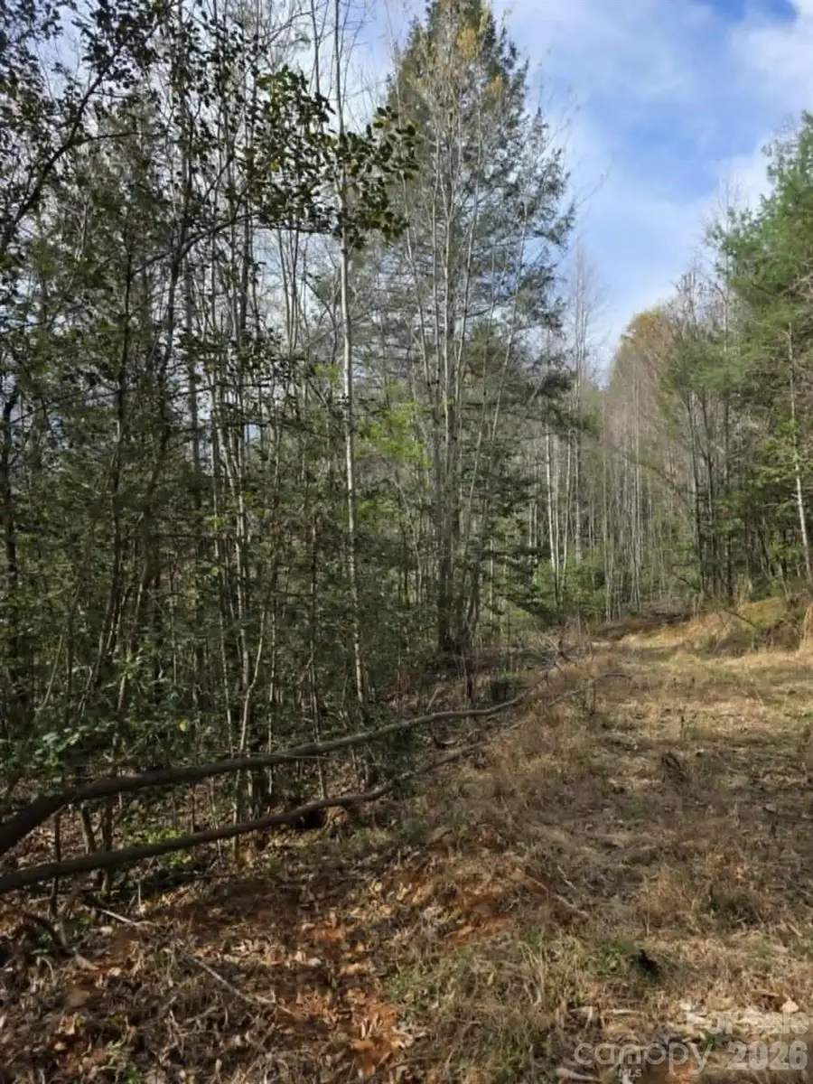 Lot 5 Kerlee Lane, Old Fort, NC 28762 - #2
