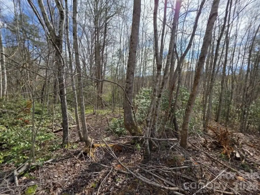 Lot 5 Kerlee Lane, Old Fort, NC 28762 - #3