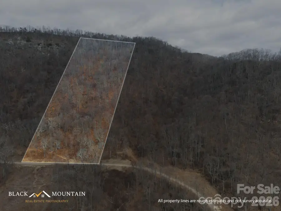 00 High Rock View Drive, Canton, NC 28716 - #2