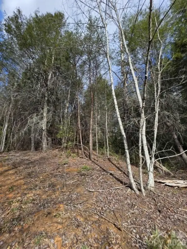 Lot 4 Kerlee Lane, Old Fort, NC 28762