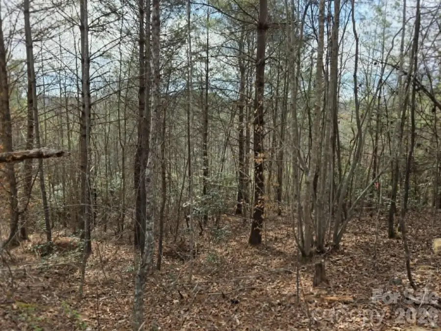 Lot 4 Kerlee Lane, Old Fort, NC 28762 - #2