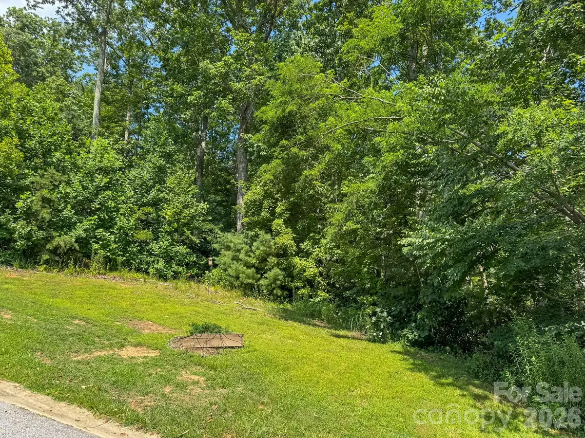 195 Carriage Crest Drive, Hendersonville, NC 28791 - #1