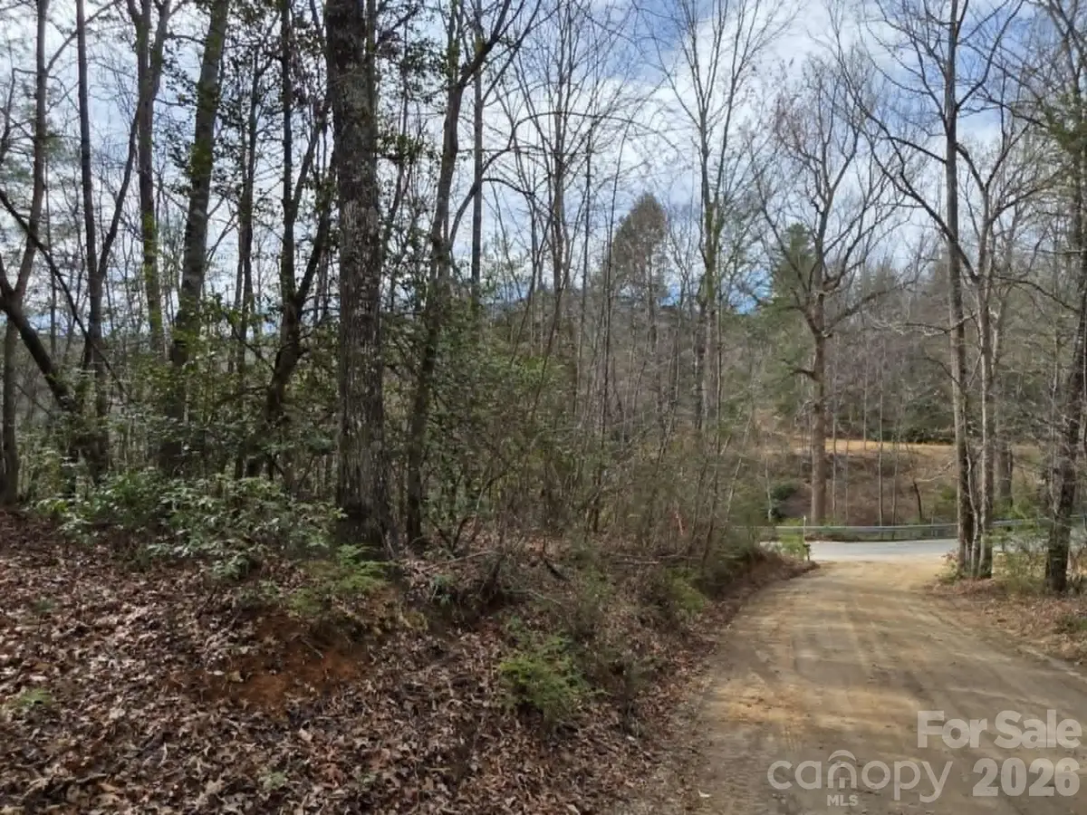 Lot 1 Kerlee Lane, Old Fort, NC 28762 - #1
