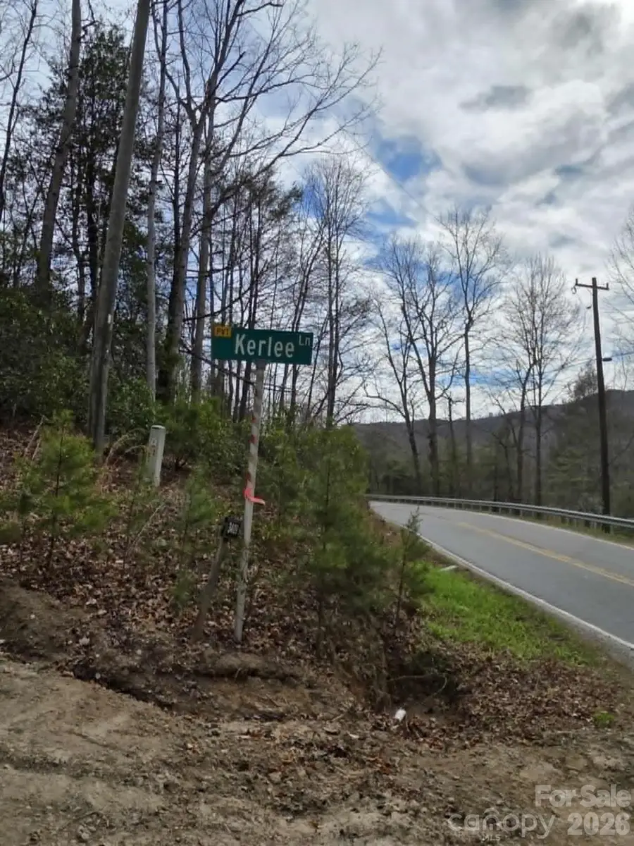 Lot 1 Kerlee Lane, Old Fort, NC 28762 - #2