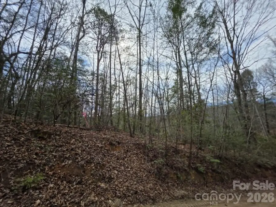 Lot 1 Kerlee Lane, Old Fort, NC 28762 - #3
