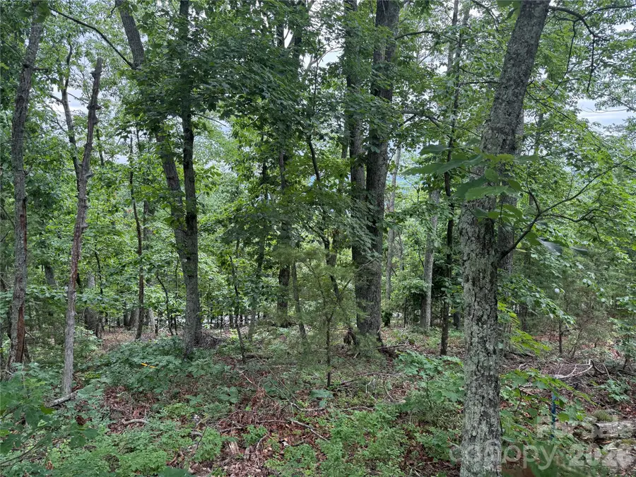 0 Arbra Mountain Way #54, Bostic, NC 28018 - #2