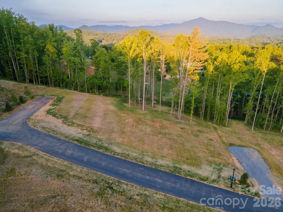 443 Irvine Drive, Fairview, NC 28730 - #1
