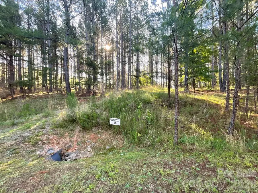 105 Whispering Pines Lane, Mooresboro, NC 28114 - #2