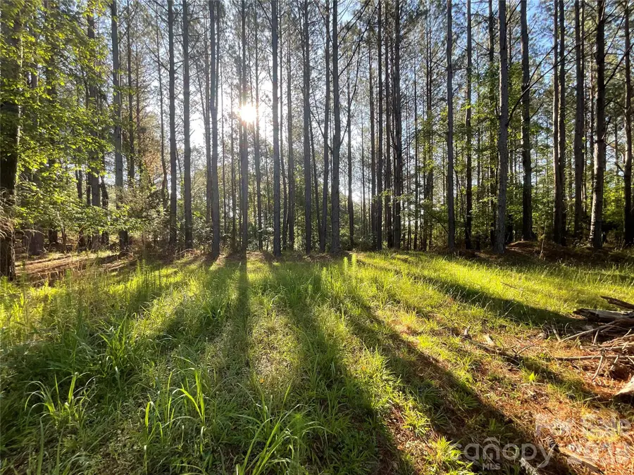 105 Whispering Pines Lane, Mooresboro, NC 28114 - #3