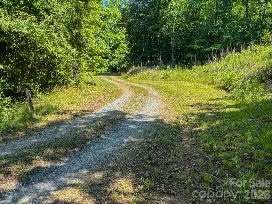 306 Golden Valley Road, Casar, NC 28020 - #3