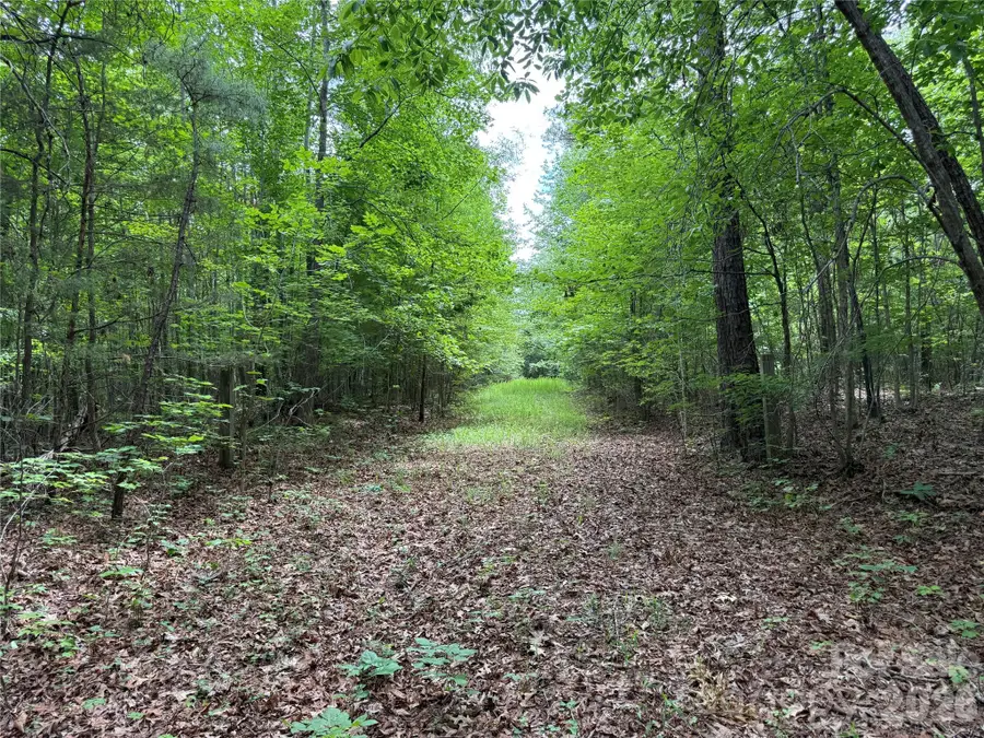 0 Herbert Faucette Road, Bullock, NC 27507 - #2