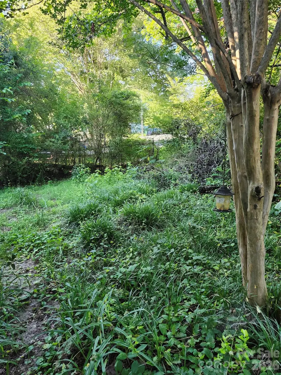 12324 Tweedsmuir Drive, Pineville, NC 28134 - #3