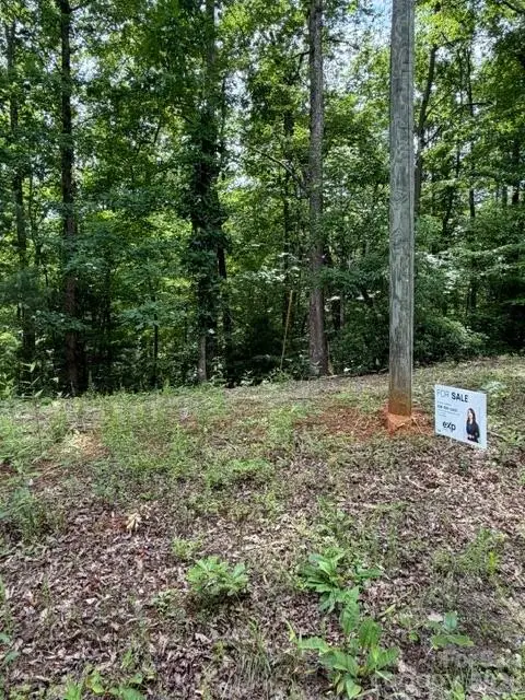 0 Country Way, Lake Lure, NC 28746 - #3