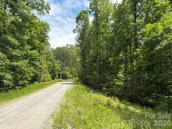 0 Pear Tree Drive, Lake Lure, NC 28746