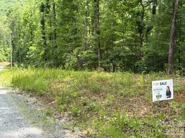 0 Pear Tree Drive, Lake Lure, NC 28746 - #2