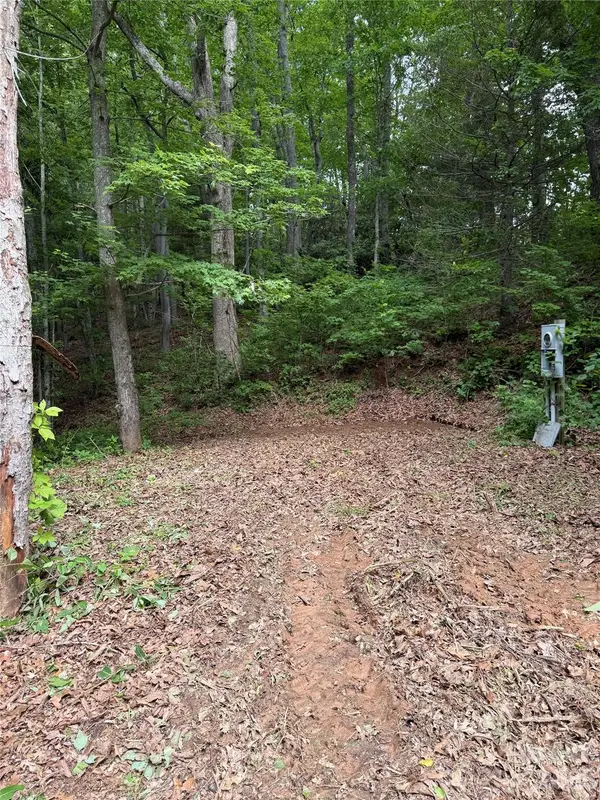 370 Spivey Mountain Road, Asheville, NC 28806
