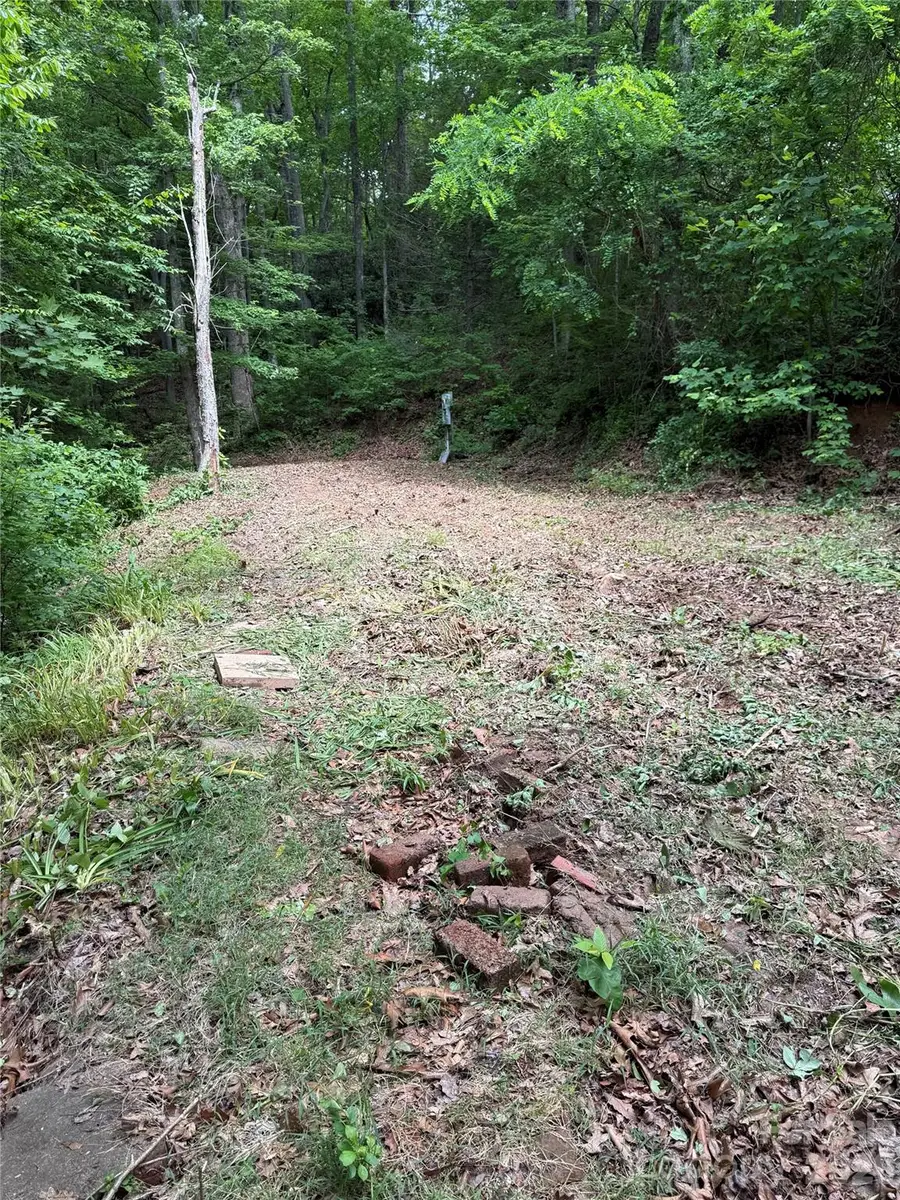 370 Spivey Mountain Road, Asheville, NC 28806 - #2