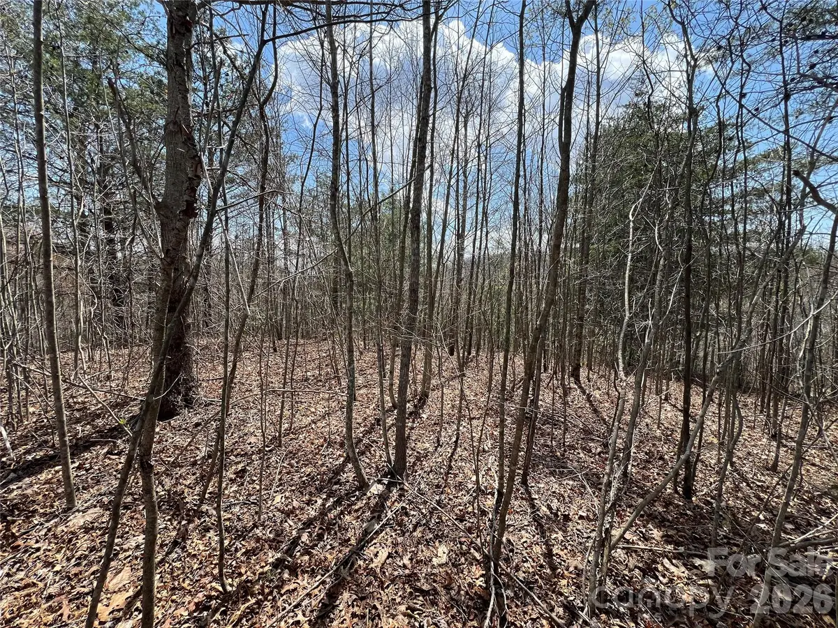 192 Pine Cone Trail #21, Marshall, NC 28753 - #1