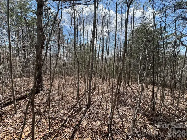 192 Pine Cone Trail #21, Marshall, NC 28753