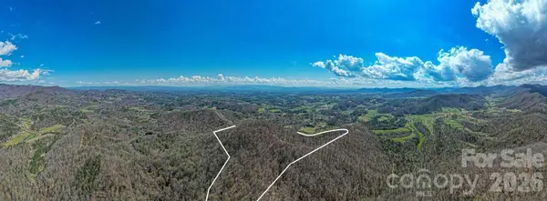 9999 Sandy Mush Creek Road, Leicester, NC 28748