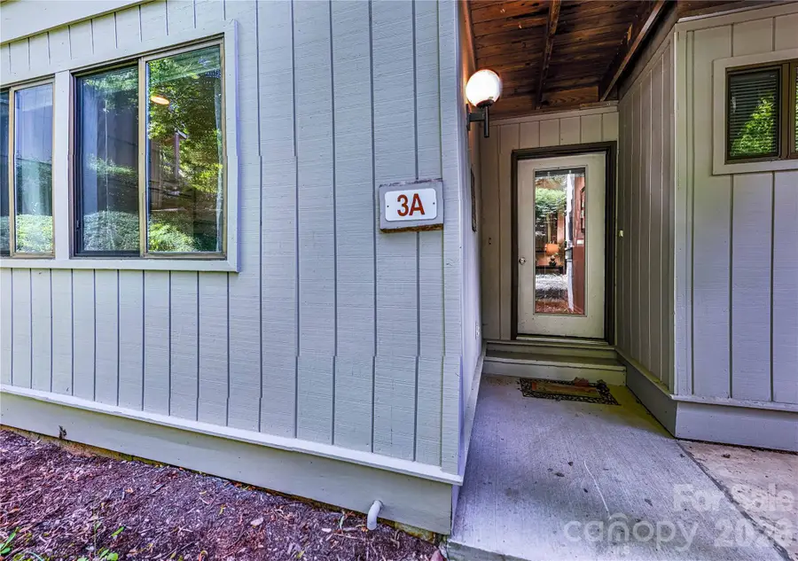 3A Cedarwood Drive, Asheville, NC 28805 - #3