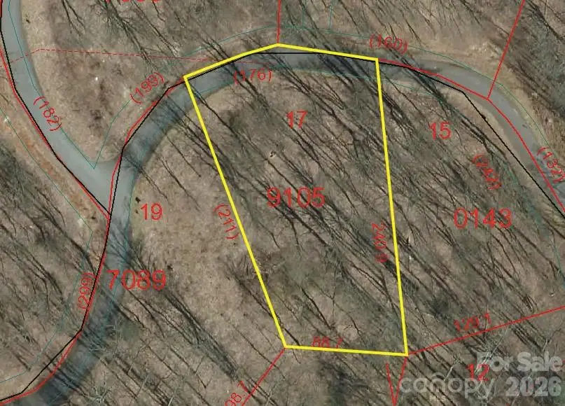 Lot 17 Mountain Watch Drive, Maggie Valley, NC 28751 - #2