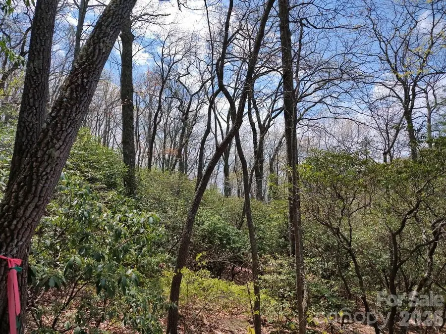 99999 Red Oak Forest Road #1418, Fairview, NC 28730 - #2