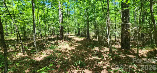 171 Bambi Lane, Mill Spring, NC 28782
