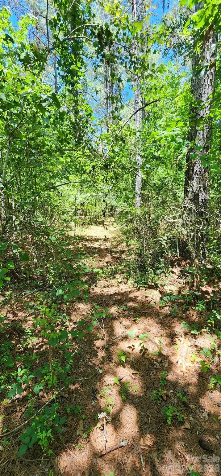 171 Bambi Lane, White Oak, NC 28782 - #2