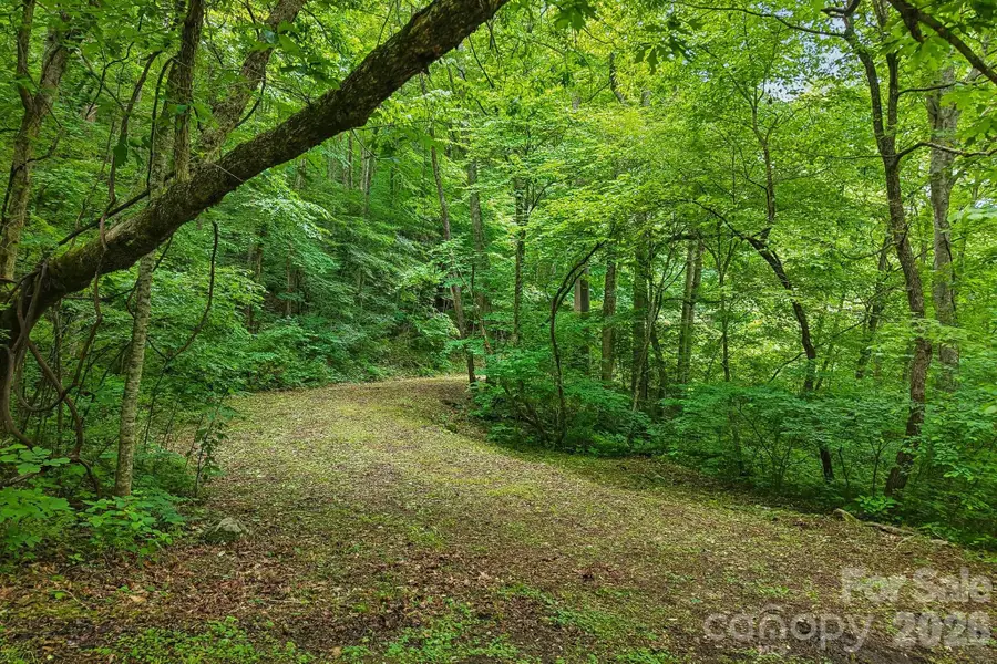 00 Sequoyah Drive, Jonathan Creek, NC 29786 - #2