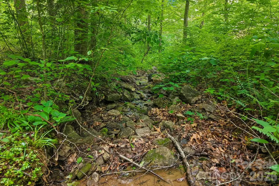 00 Sequoyah Drive, Jonathan Creek, NC 29786 - #3