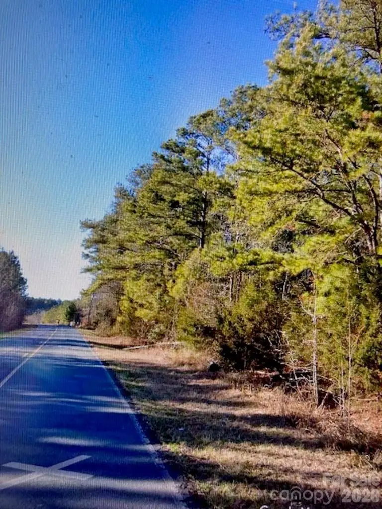 1220 Long Pine Church Road, Peachland, NC 28133 - #3