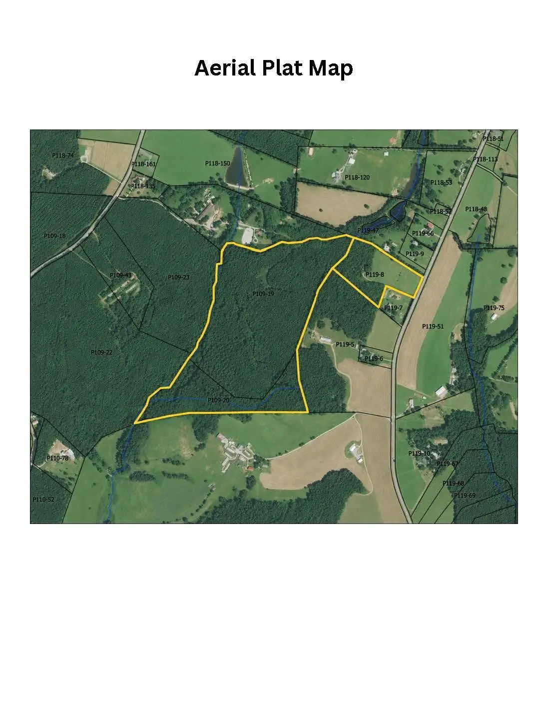 9818 S Nc 9 Lane, Columbus, NC 28722 - #1