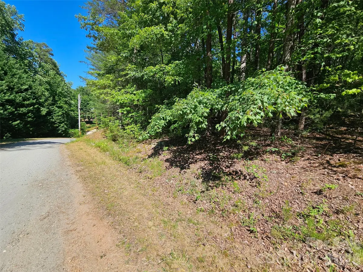 136 Doves Way #136, Lake Lure, NC 28746 - #1