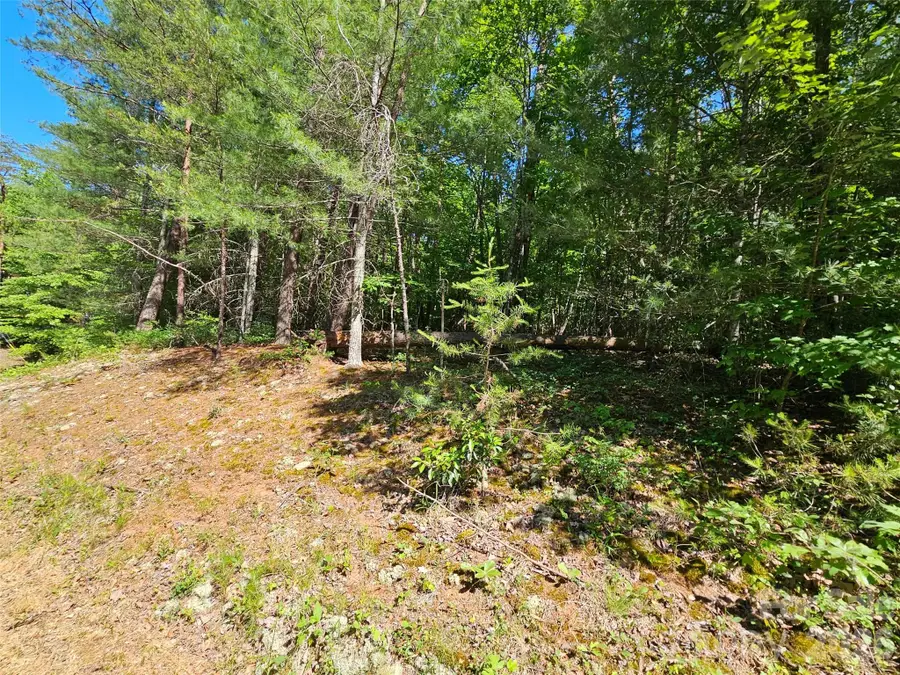 136 Doves Way #136, Lake Lure, NC 28746 - #2
