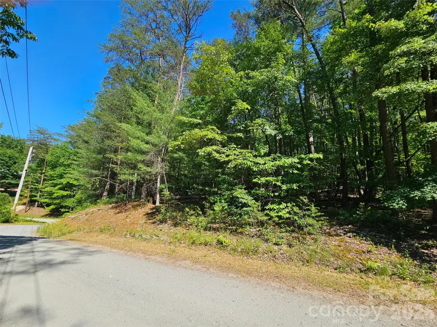 136 Doves Way #136, Lake Lure, NC 28746 - #3