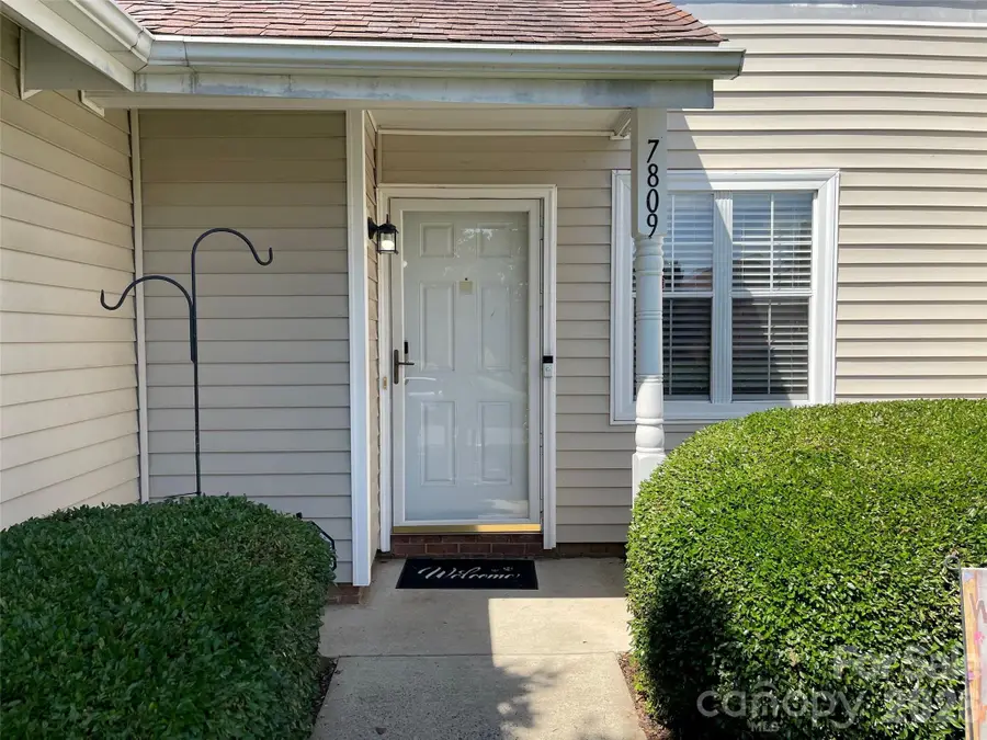 7809 Davinci Lane, Charlotte, NC 28226 - #3