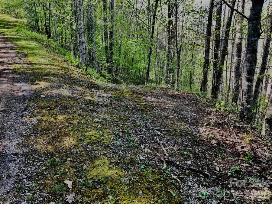 99 Fern Hill Drive, Mars Hill, NC 28754 - #2