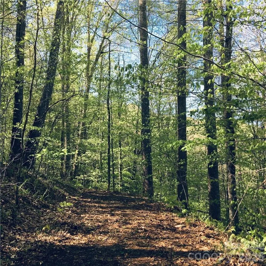 57 Fern Hill Drive, Mars Hill, NC 28754 - #1