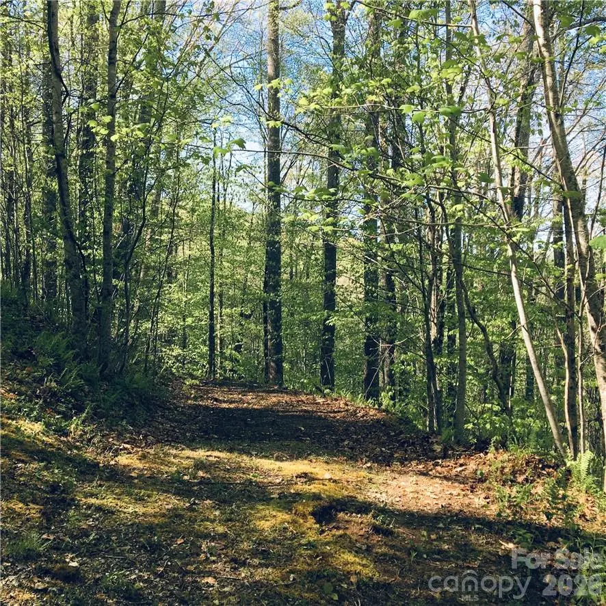 57 Fern Hill Drive, Mars Hill, NC 28754 - #2