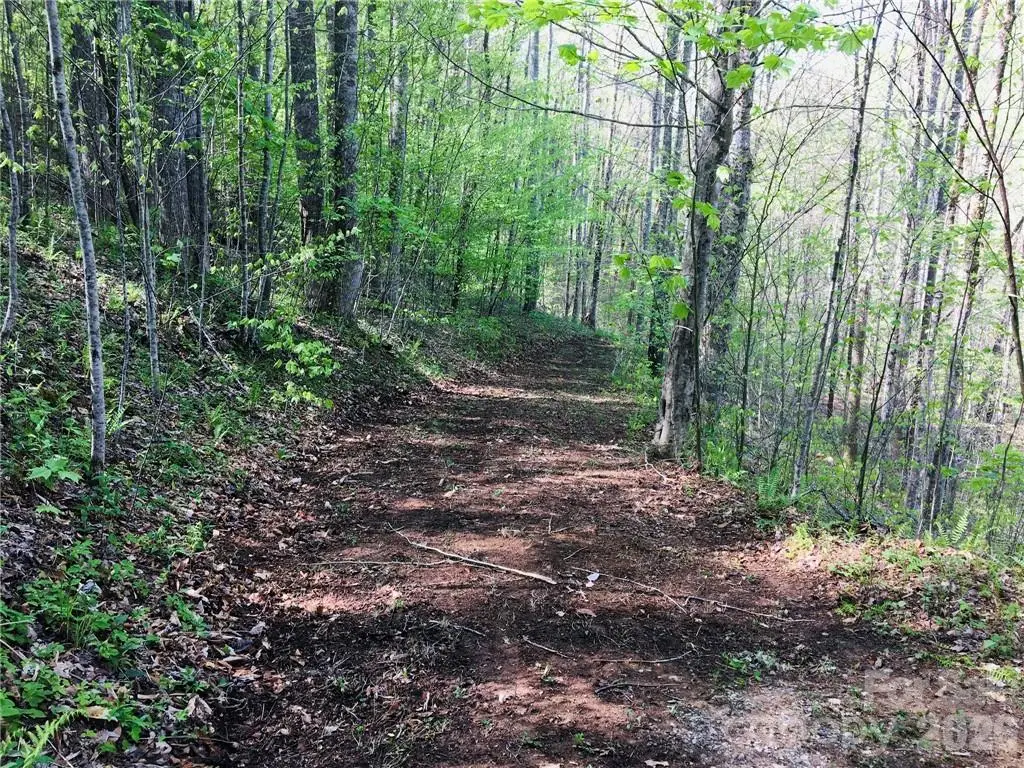 99 &57 Fern Hill Drive, Mars Hill, NC 28754 - #1
