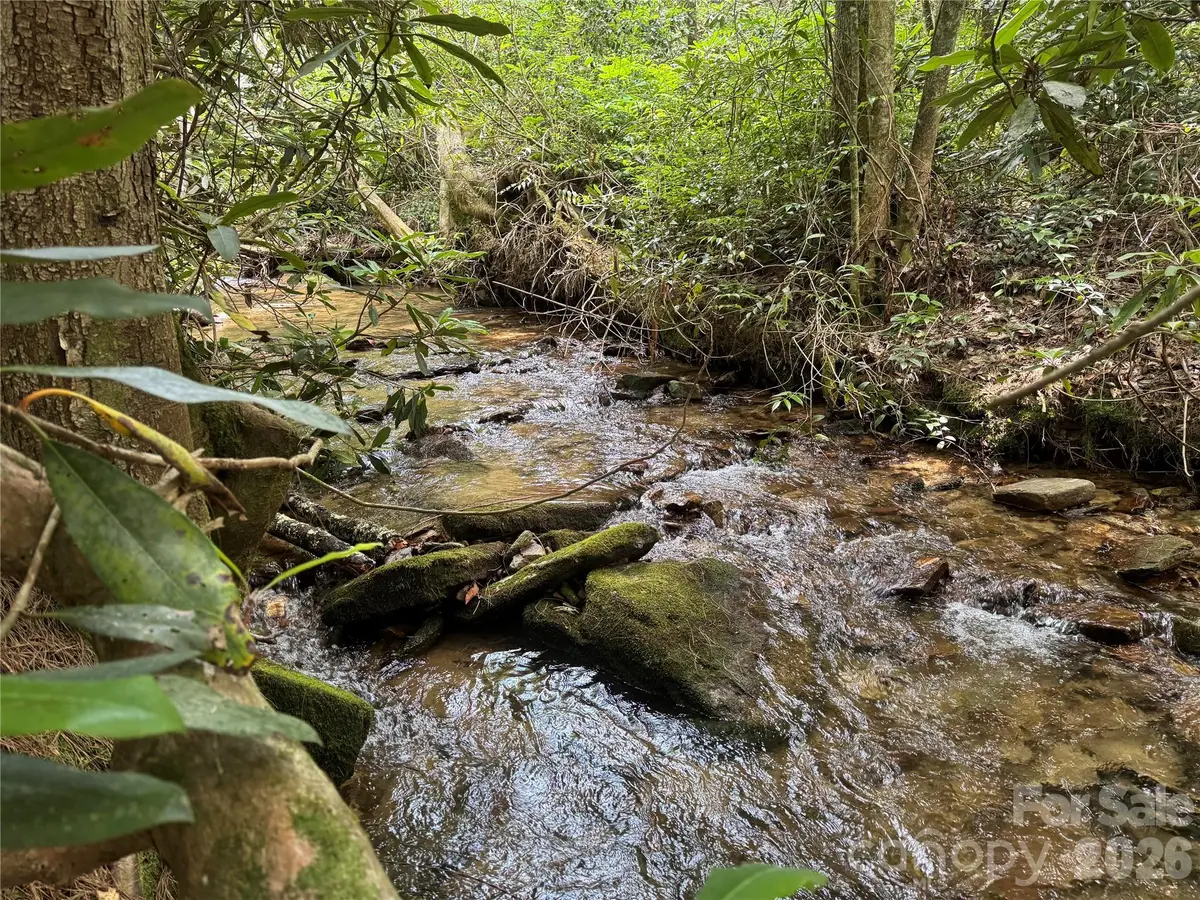 Lot 45 Abby Falls Drive, Rosman, NC 28772 - #1